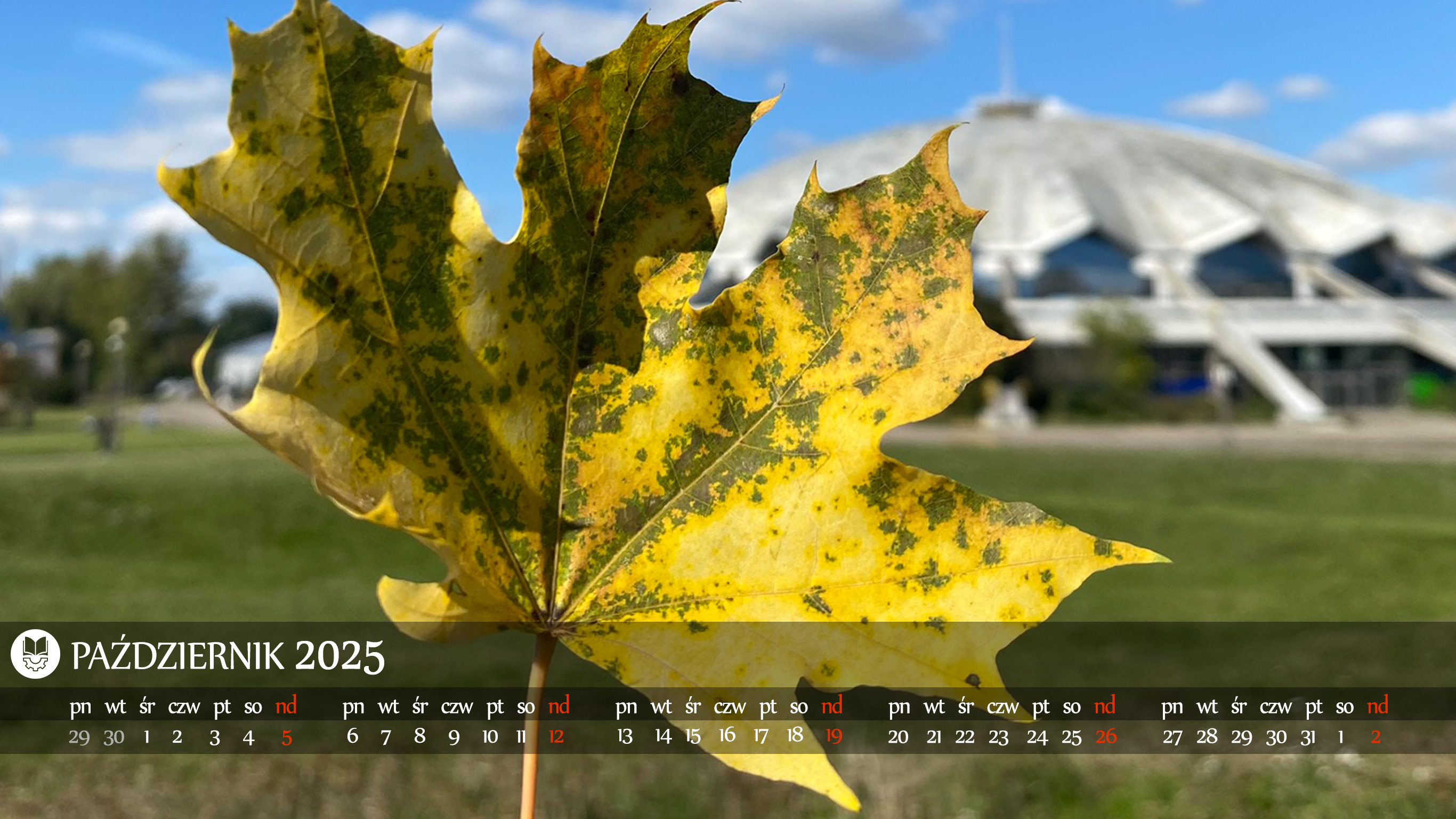 1366x768